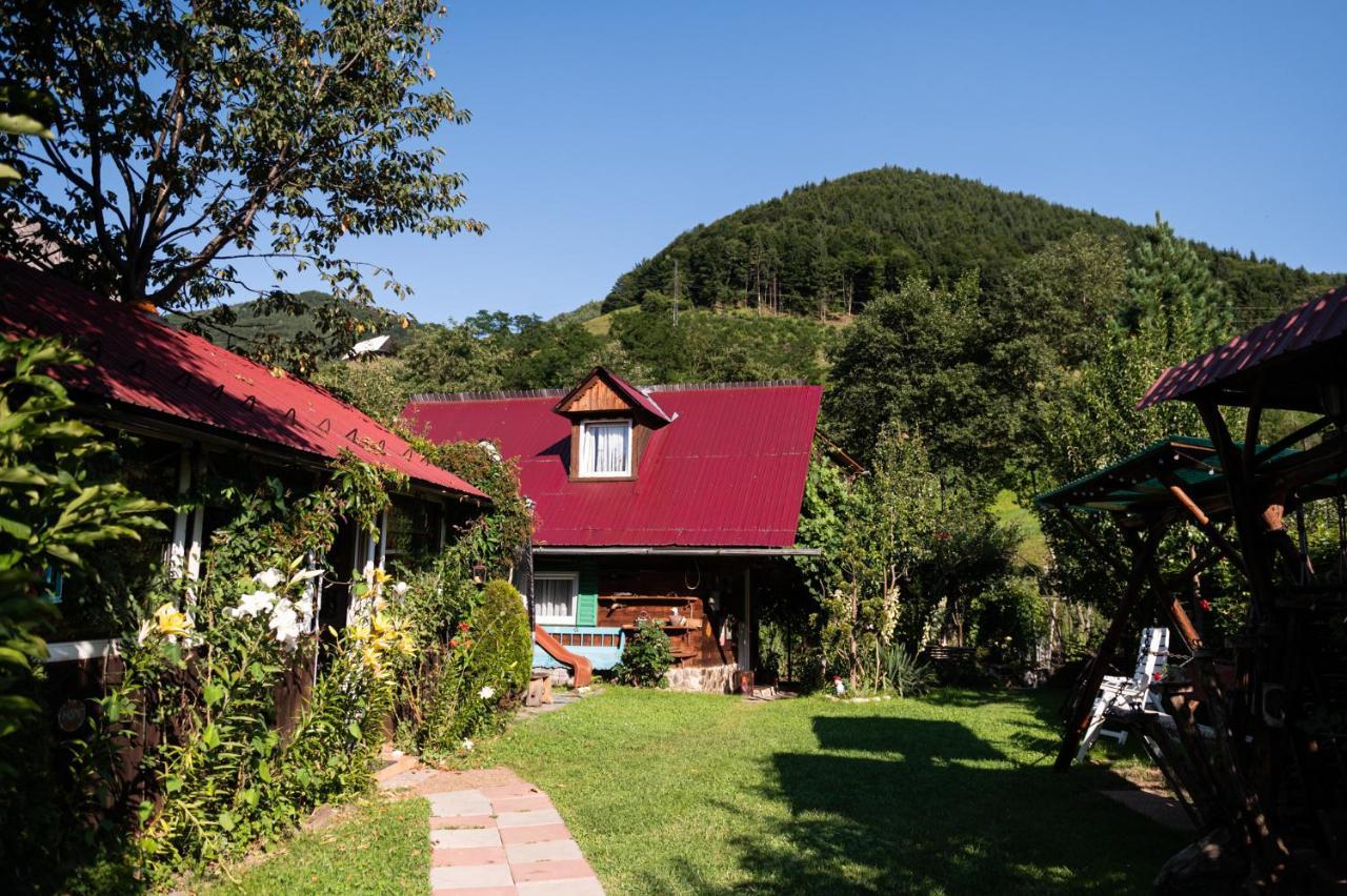 Casa De Vacanta Vidrighin Rau Sadului Exterior foto