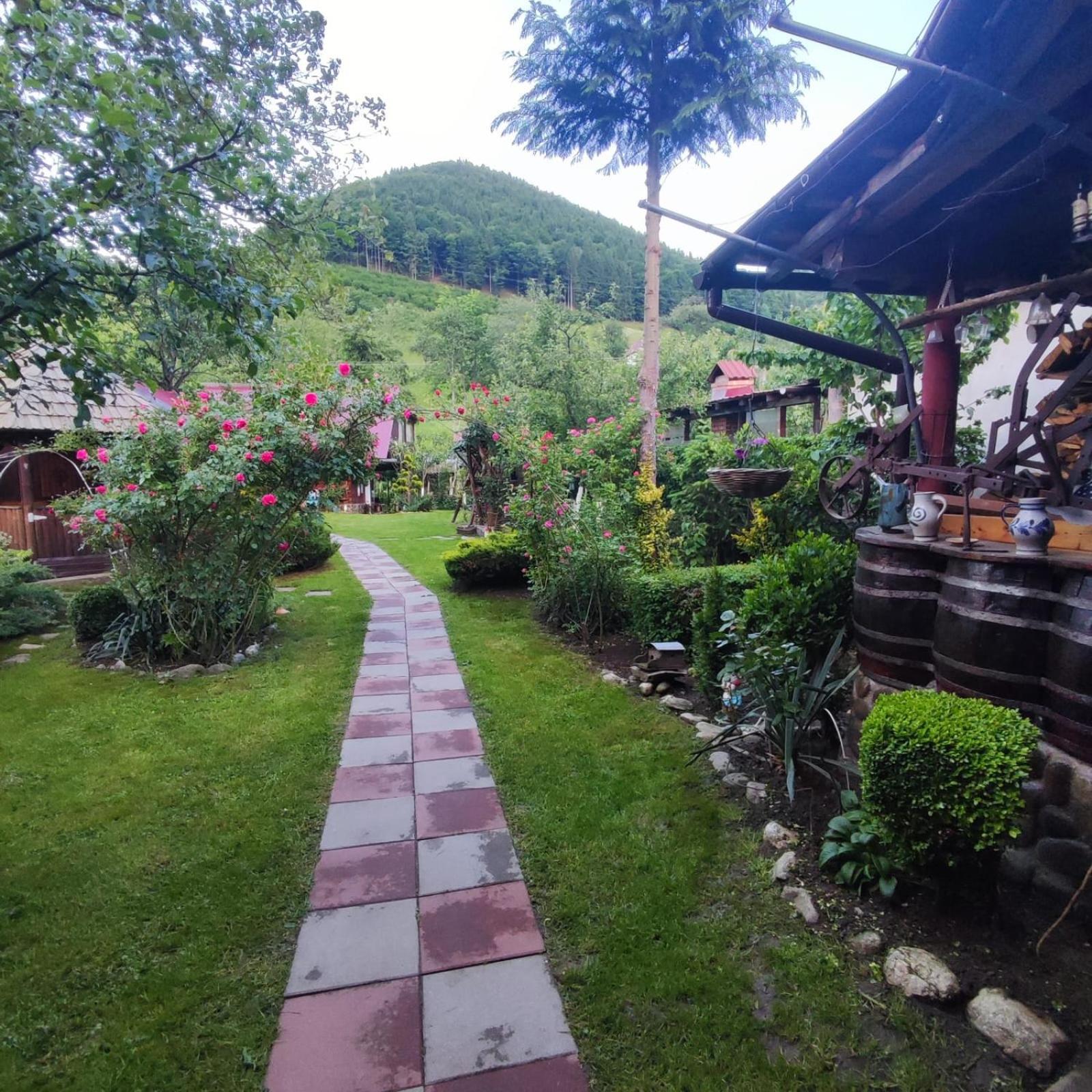 Casa De Vacanta Vidrighin Rau Sadului Quarto foto