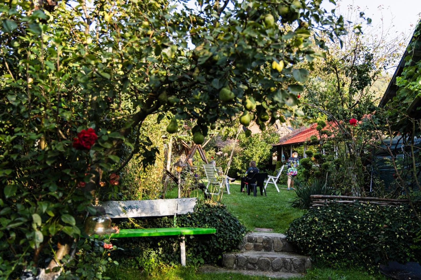 Casa De Vacanta Vidrighin Rau Sadului Quarto foto