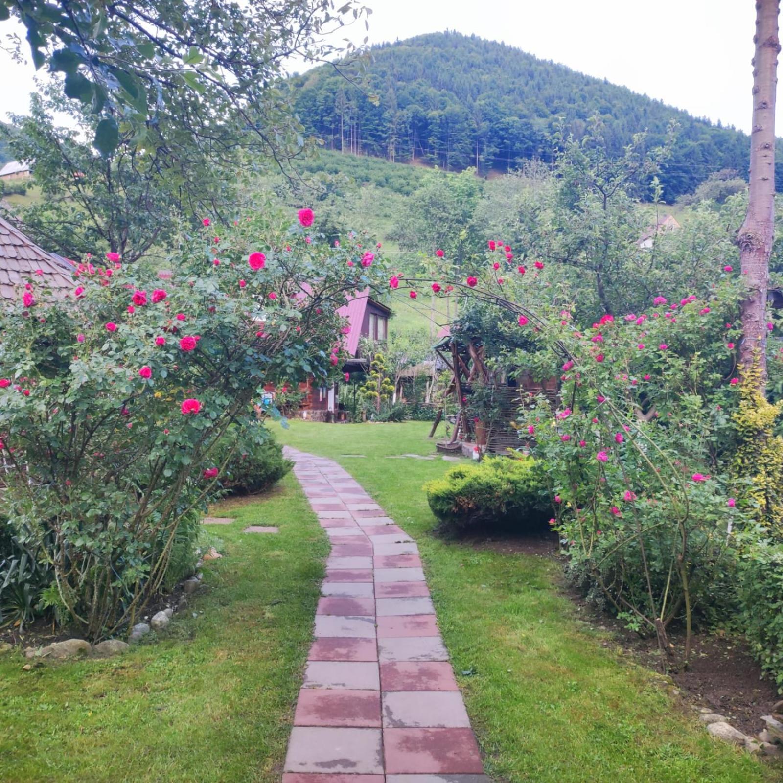 Casa De Vacanta Vidrighin Rau Sadului Quarto foto
