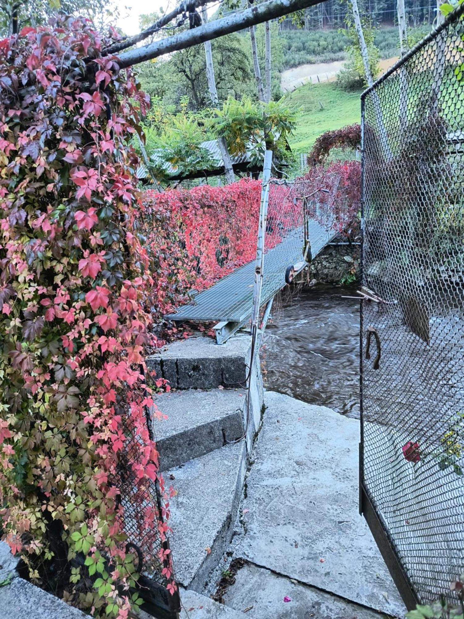 Casa De Vacanta Vidrighin Rau Sadului Quarto foto
